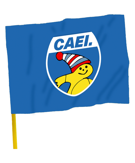 BANDERA CARRERAS CAEI. (oficial)